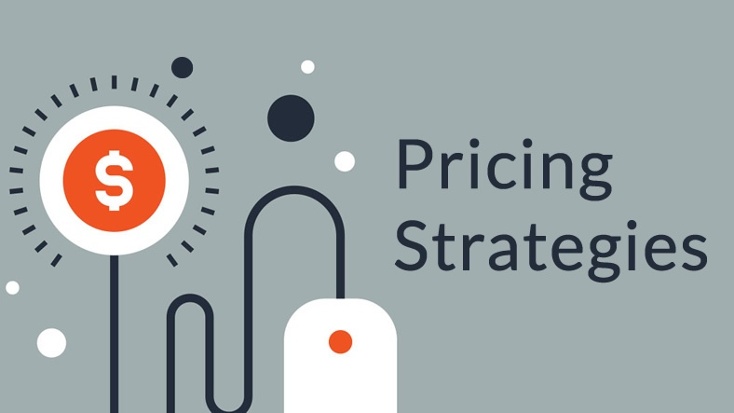 Establish Your Pricing Strategy - self-publishing book